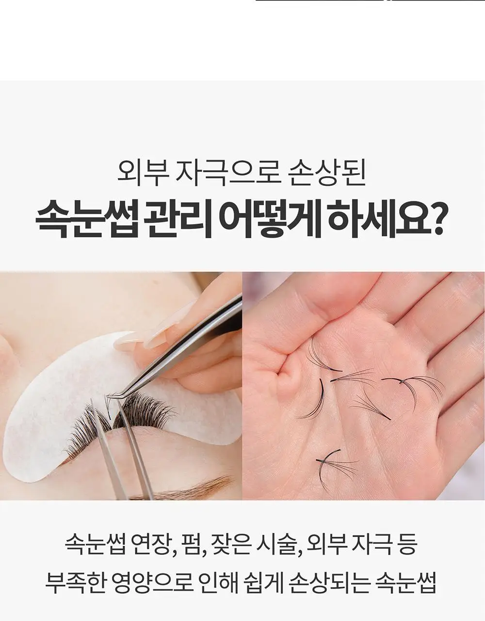 [포켓몬에디션/5월올영픽] 코스노리 아이래쉬 틴팅 세럼 블랙속눈썹영양제 9g (기획/단품) 상세페이지 12